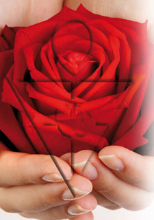 19808_Rose, Amorc-Symbol.jpg